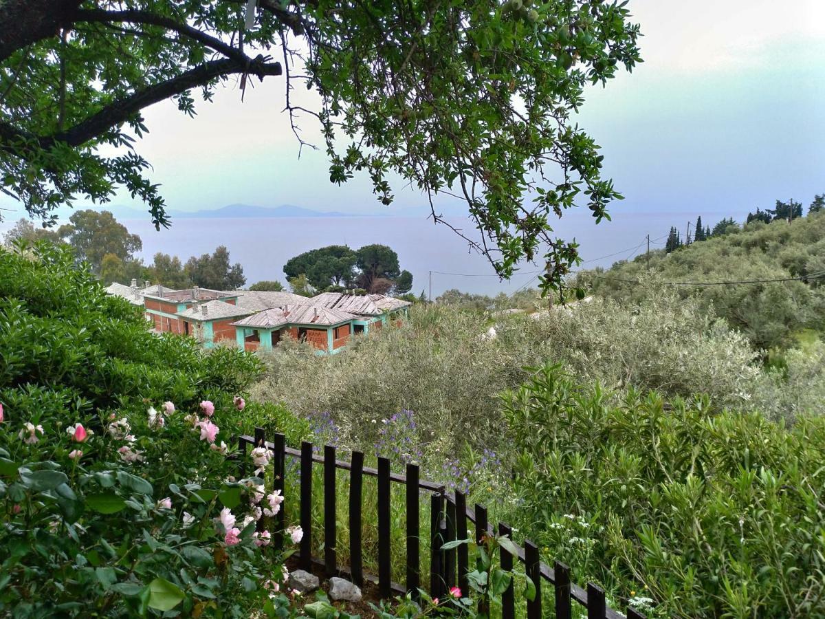 Persefoni House Villa Afissos Bagian luar foto