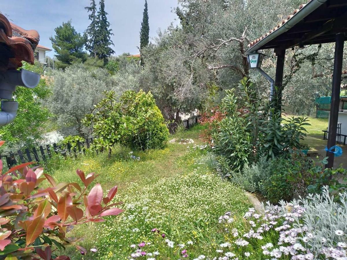 Persefoni House Villa Afissos Bagian luar foto