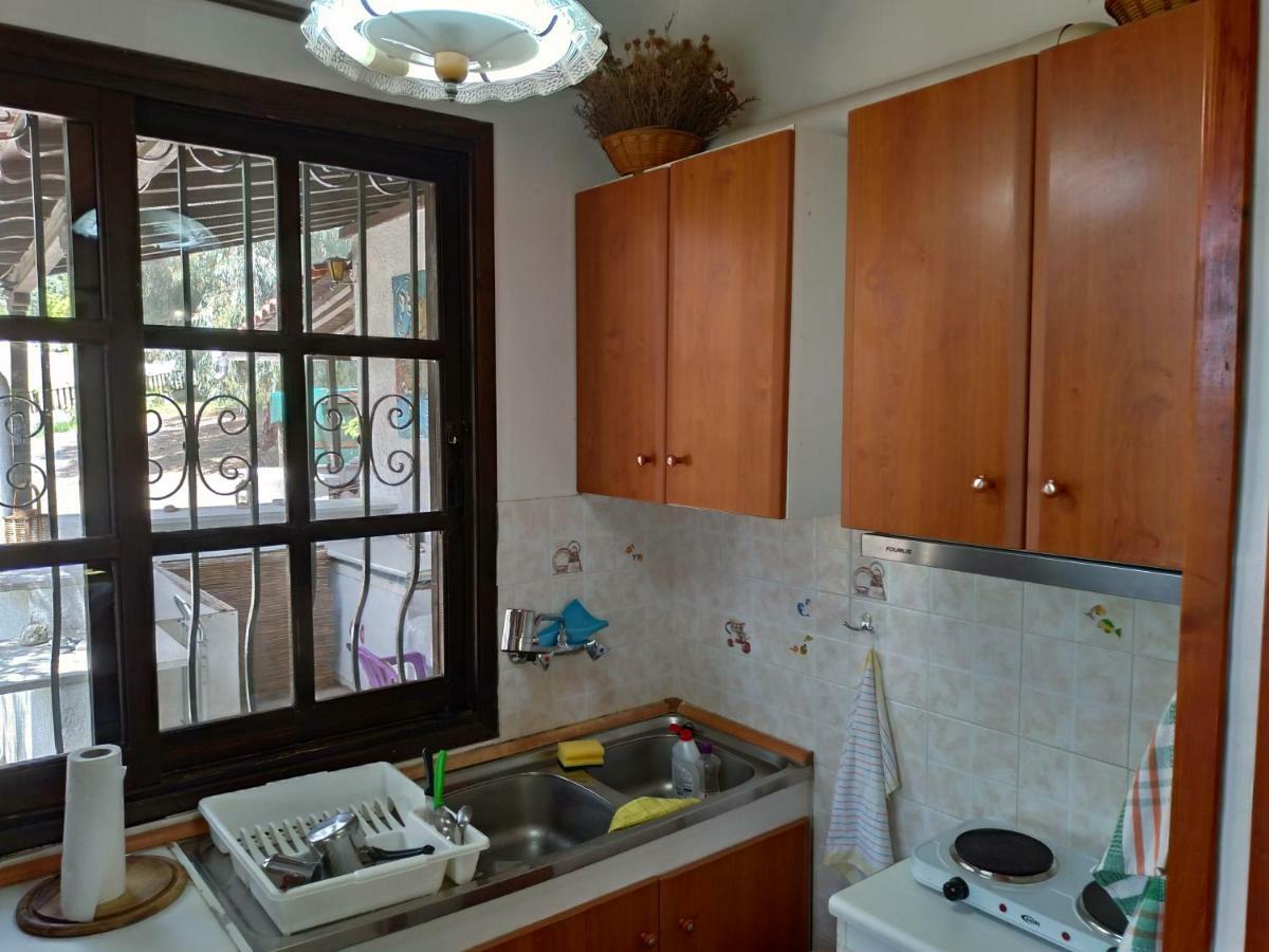 Persefoni House Villa Afissos Bagian luar foto
